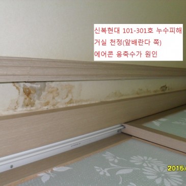 주원누수 : 울산누수탐지의 대표주자 / 8.11. 신복현대 101-401호 누수탐지